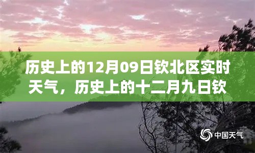 历史上的钦北区十二月九日探寻自然美景之旅，探寻内心的宁静与平和