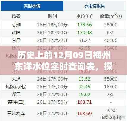 探秘梅州东洋水位，历史数据与实时查询表，小巷深处的独特风味小店揭秘