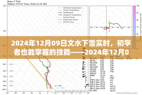 初学者也能掌握的文水下雪技能，实时观测指南（2024年12月09日）