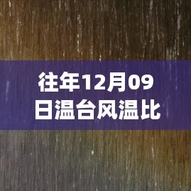 温比亚台风十二年，风云巨变与深远影响的回顾