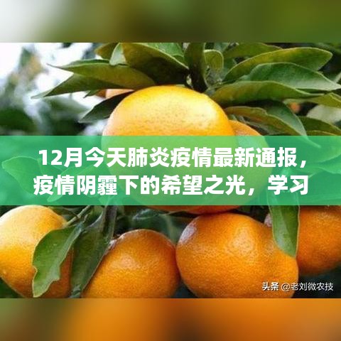 肺炎疫情最新通报，阴霾下的希望之光与变化的力量激发我们的自信