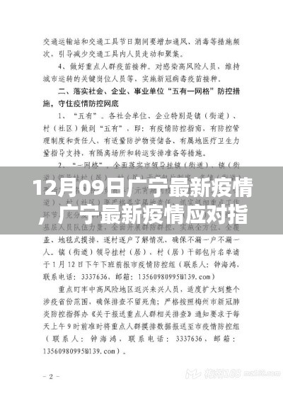 广宁最新疫情动态及应对指南（初学者与进阶用户必备）