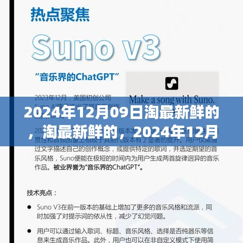 淘最新鲜，观点洞察分享，2024年12月09日