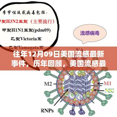 美国流感历年回顾与深度解析，历年流感事件回顾及最新动态——深度解析（针对往年12月09日）