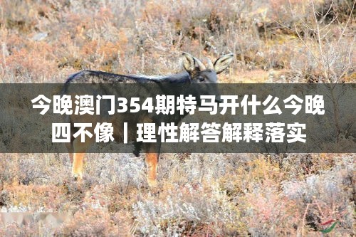 今晚澳门354期特马开什么今晚四不像｜理性解答解释落实