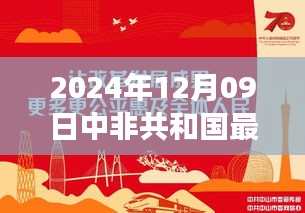 成功案例 第13页