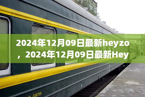 2024年最新Heyzo应用指南，探索前沿功能与卓越用户体验