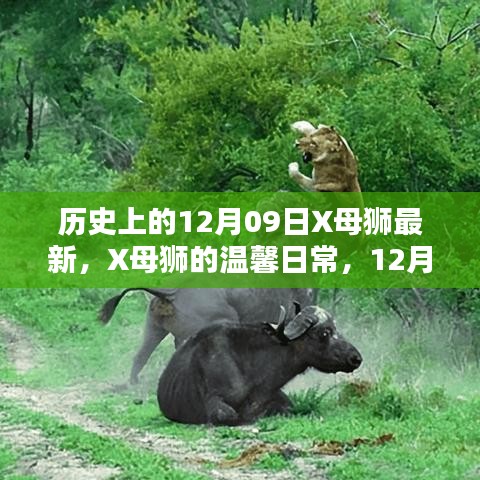 历史上的12月09日，X母狮的最新温馨日常与特别记忆