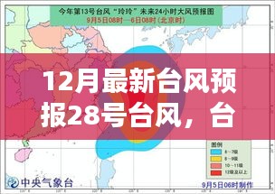 深度探讨，关于12月最新台风预报中28号台风的动态与预测