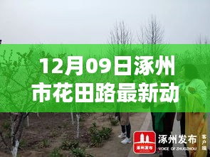 揭秘涿州市花田路最新动态，巷弄深处的独特小店探秘之旅