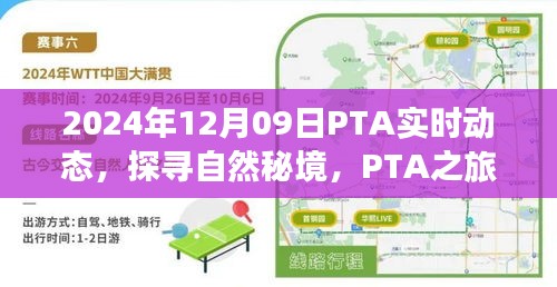 探寻自然秘境，PTA之旅的心灵与自然的奇妙邂逅（实时动态）