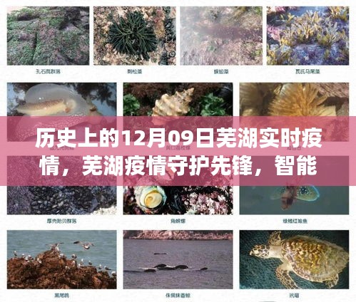 芜湖疫情守护先锋，智能科技引领防控新时代，历史上的实时疫情回顾（十二月九日）