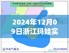 浙江玛娃台风应对指南，全方位准备，从初学者到进阶用户的防御步骤（2024年12月09日实时更新）