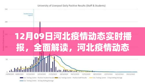 河北疫情动态实时播报全面解读及分析