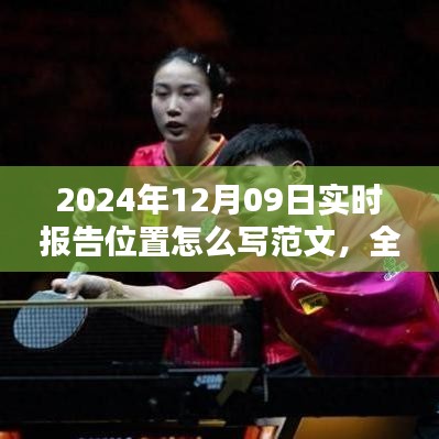 2024年12月09日实时报告位置系统应用全面评测与体验分析