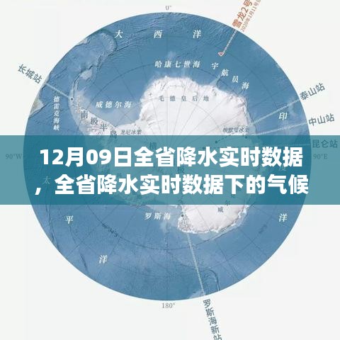 全省降水实时数据与气候变迁深度探讨，12月09日的观察