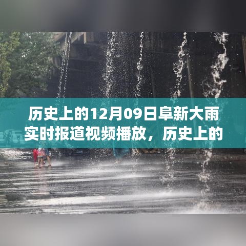 历史上的阜新大雨深度解读与反思，实时报道视频播放及反思启示