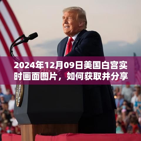 获取并分享美国白宫实时画面图片，详细步骤指南（以2024年12月09日为例）