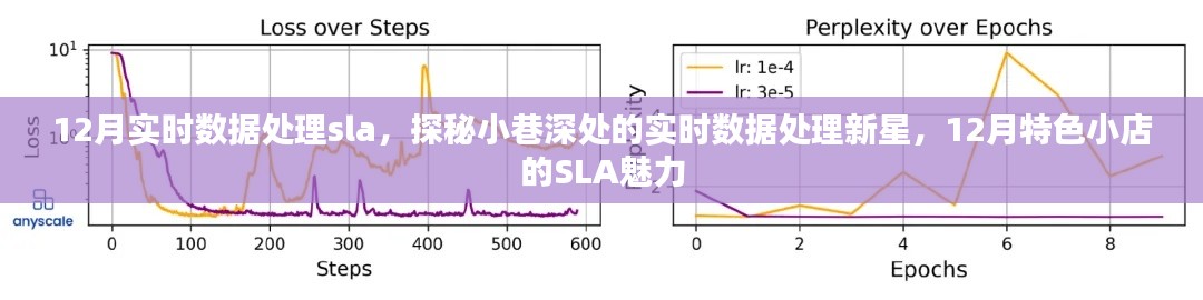 探秘实时数据处理新星，揭秘十二月小巷深处特色小店的SLA魅力