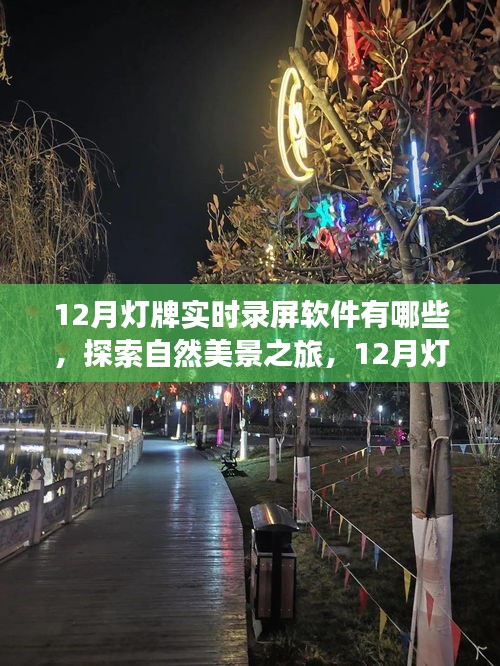 探索自然美景之旅，12月灯牌下的录屏软件与心灵平静之旅体验