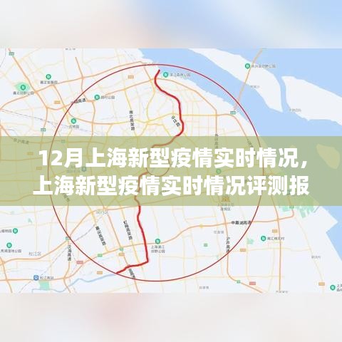 上海新型疫情实时评测报告，深度解读产品特性与用户体验体验解析