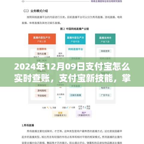 掌握支付宝实时查账技巧，开启财务自由之旅