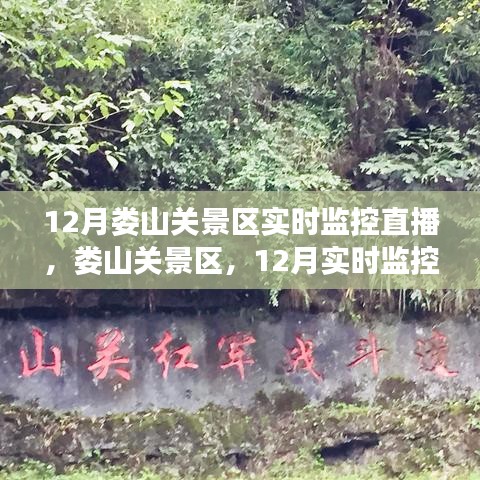 飞珠迸玉