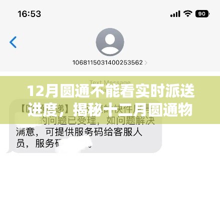 揭秘十二月圆通物流困境，无法实时追踪派送进度的挑战