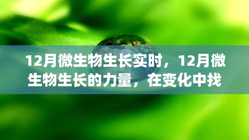 变化中的魔法之旅，探寻十二月微生物生长的力量与自信成就之路