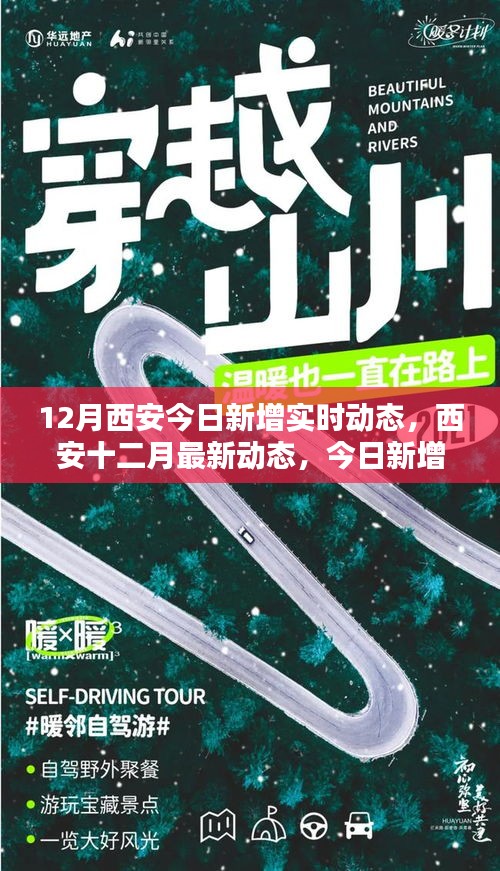 西安十二月最新动态报告，今日新增实时数据解析与要点概览