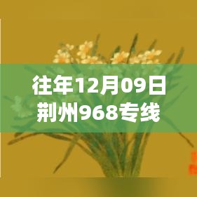 往年12月09日荆州968专线实时查询，一站式高效出行服务助你轻松掌握行程安排