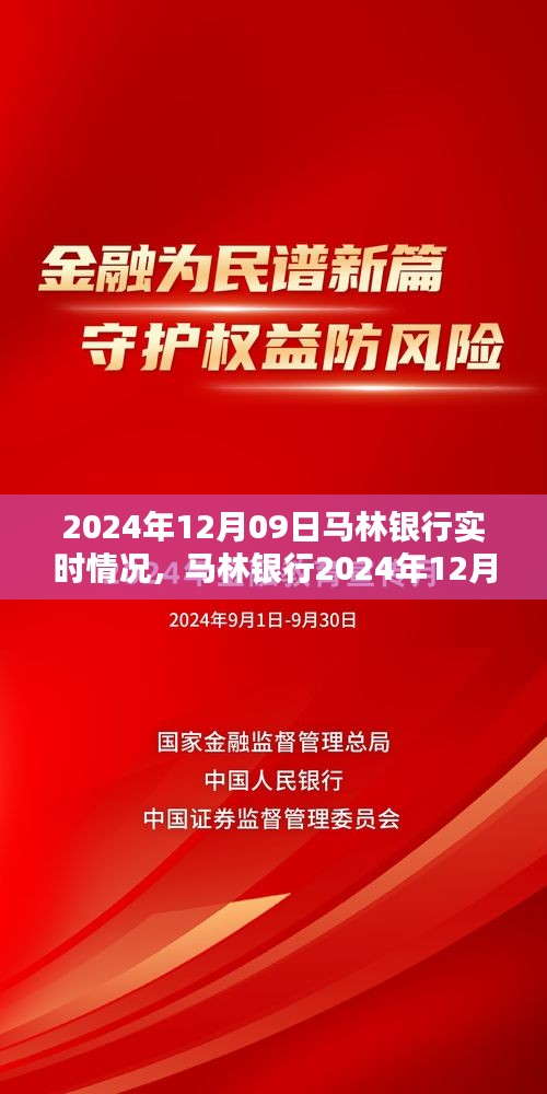 马林银行2024年12月09日实时情况深度解析与概览