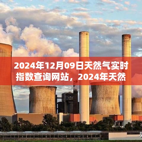 2024年天然气实时指数查询网站全面评测与介绍