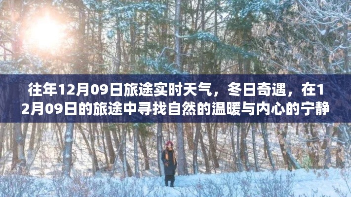 12月09日旅途探秘，冬日温暖与内心宁静的追寻