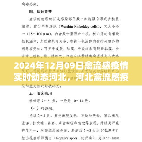 河北禽流感疫情实时动态报告，2024年12月09日观察节点分析