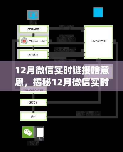 揭秘，12月微信实时链接的功能与应用场景探索