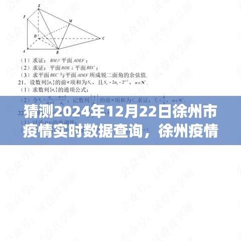 2024年12月22日徐州市疫情深度观察与影响回顾，实时数据查询与预测