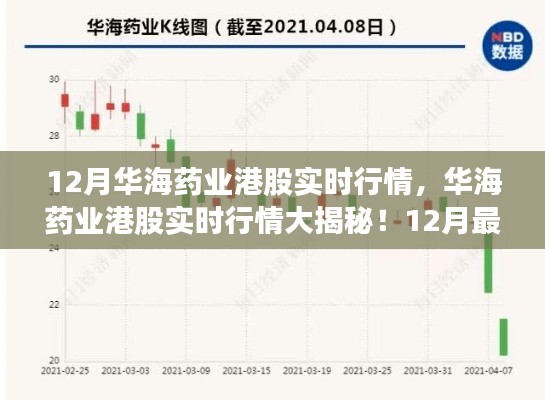 12月华海药业港股实时行情大揭秘，最新动态一网打尽