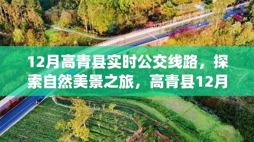 高青县12月实时公交线路指南，探寻自然美景，体验宁静之旅