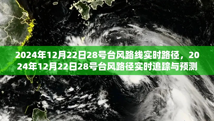 2024年12月22日台风路径追踪，实时分析预测与追踪报告