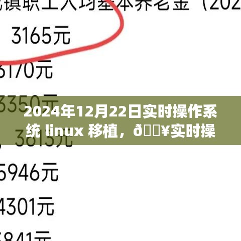 实时操作系统Linux移植实战指南，迈向2024年科技前沿的步骤