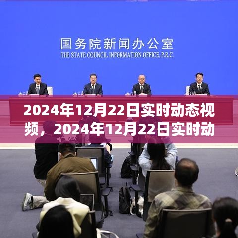 科技前沿深度解析，2024年实时动态视频观察与趋势报告