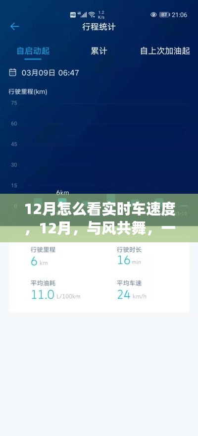 12月速度与自然的浪漫之旅，实时车速度体验