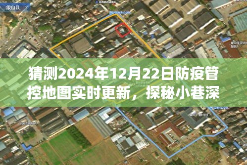 探秘小巷深处的防疫秘境，2024年防疫管控地图实时更新之旅揭秘防疫管控新进展