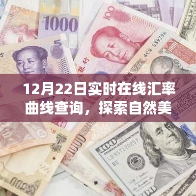 12月22日汇率曲线下的心灵洗礼与启程，实时汇率查询与自然美景探索之旅