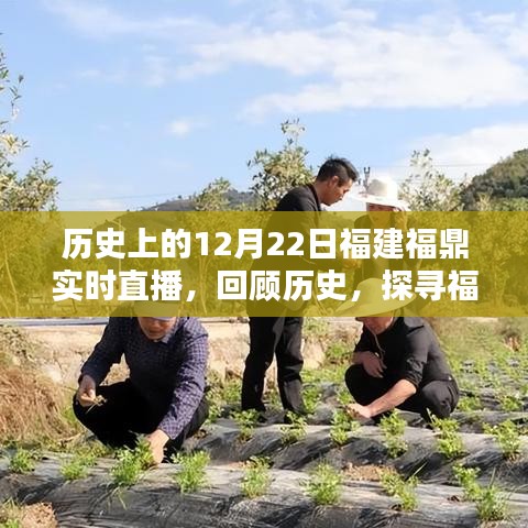 福建福鼎直播回顾，探寻历史与实时直播指南——12月22日篇