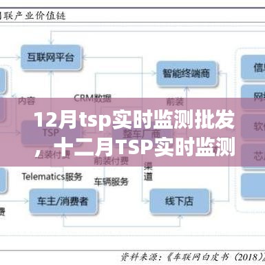 深度解析，十二月TSP实时监测批发背景、进展及特定领域地位