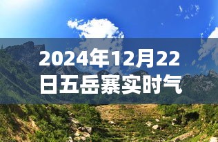 五岳寨冬至实时气温纪实，冬至之息的巅峰气温图片展示