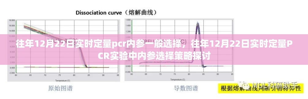 探讨，往年12月22日实时定量PCR实验中内参选择策略分析