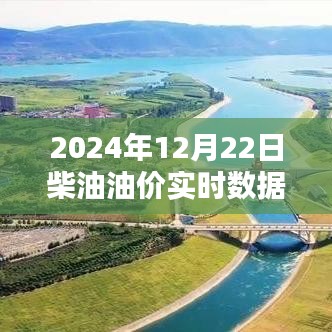 揭秘小巷深处的宝藏，2024年柴油油价实时数据查询表（日期，12月22日）